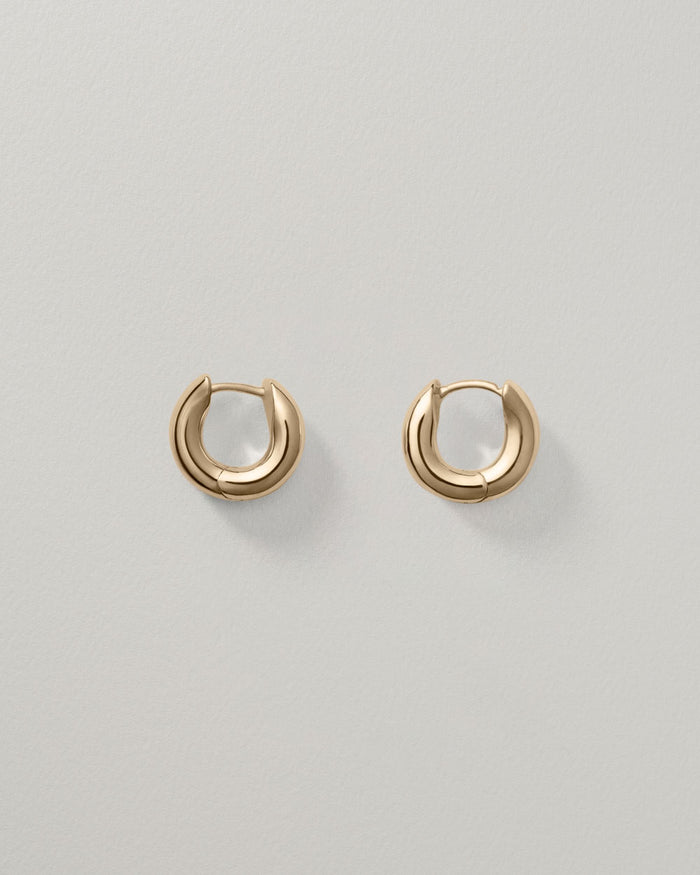 Wide Oblique Hoops, Small